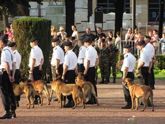 Soldats sur l'esplanade de Metz