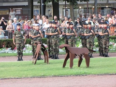 Portez armes !