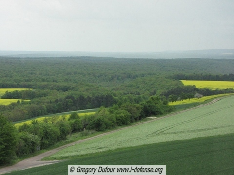 vue sur les alentours de Colombey les deux Eglises
